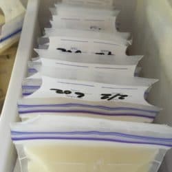 Breast milk ships in BPA-free Lansinoh Bags